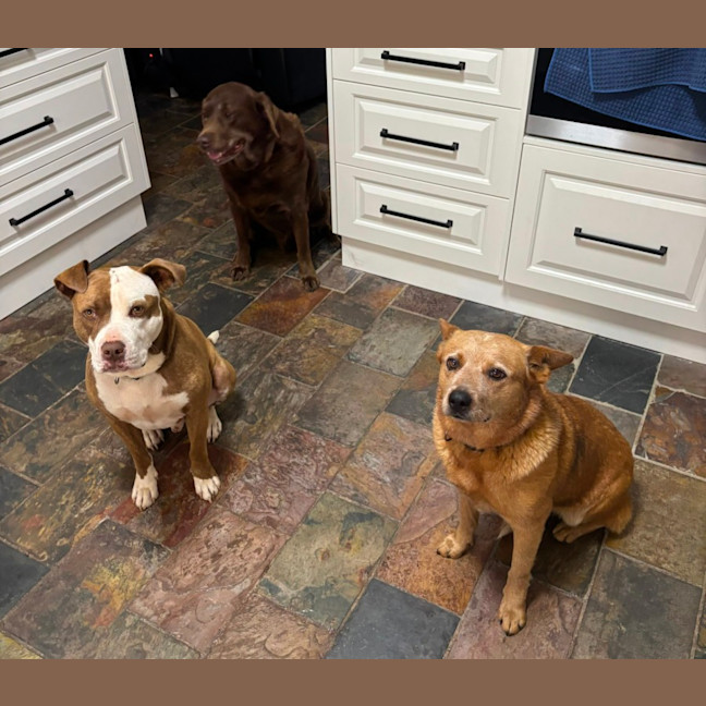 Photo of Brandylicious