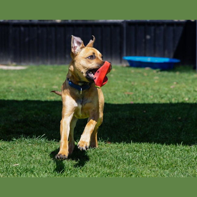 Photo of Kylo