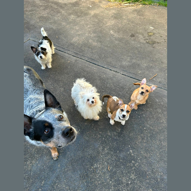 Photo of Krumby