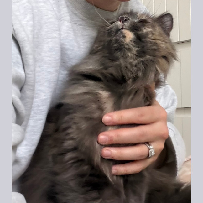 Photo of Freya May 