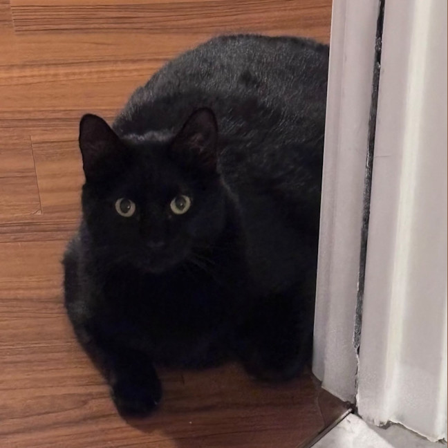 Photo of Sooty
