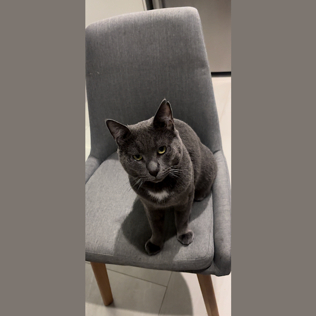 Photo of Sweetie Boy