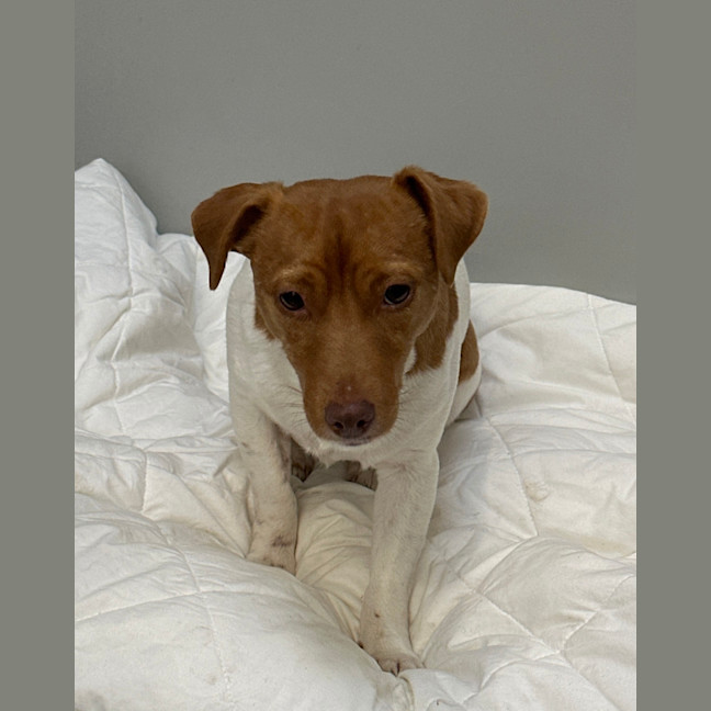 Photo of Molly 