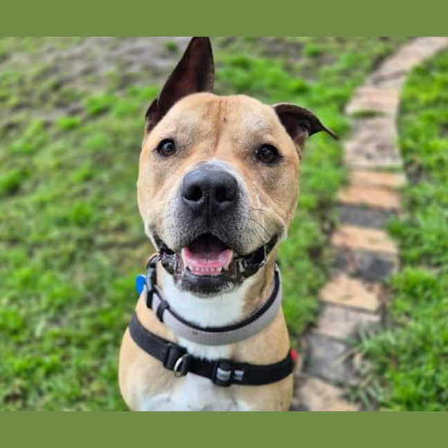 Photo of Jack