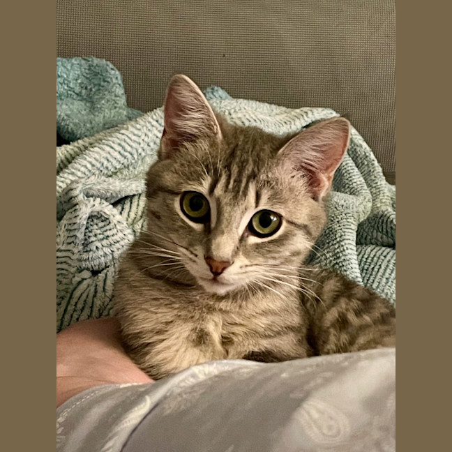 Photo of Sadie