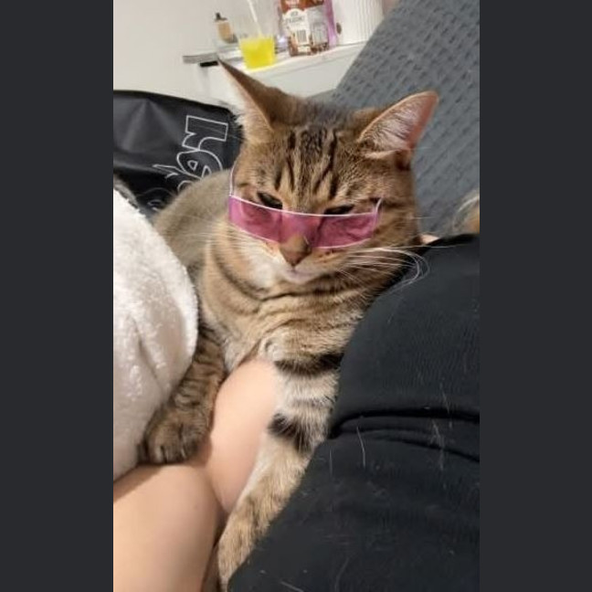 Photo of Rosie