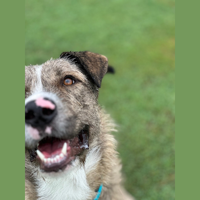 Photo of Turbo