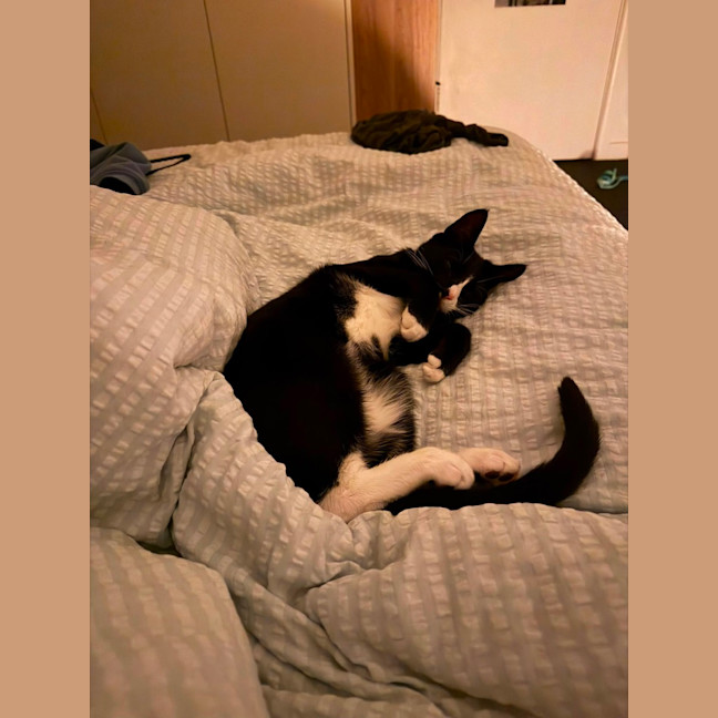 Photo of George