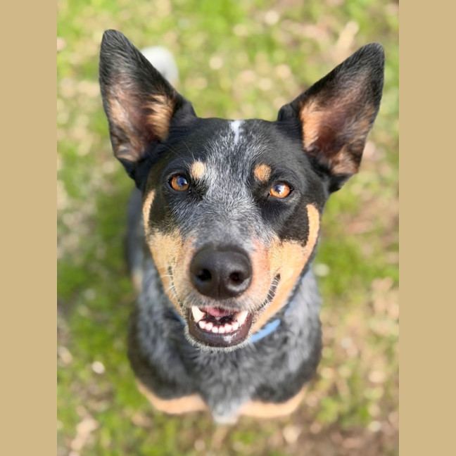 Photo of Kash