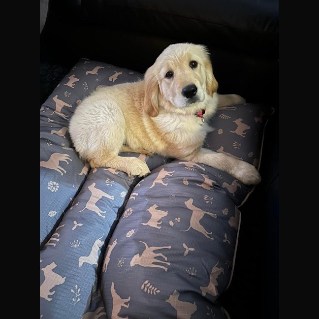 Photo of Sammy