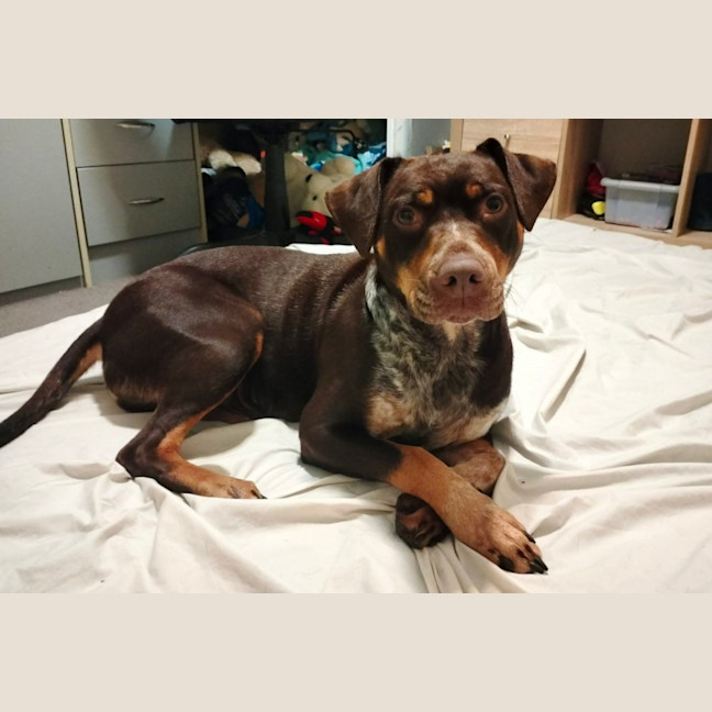 Photo of Delta