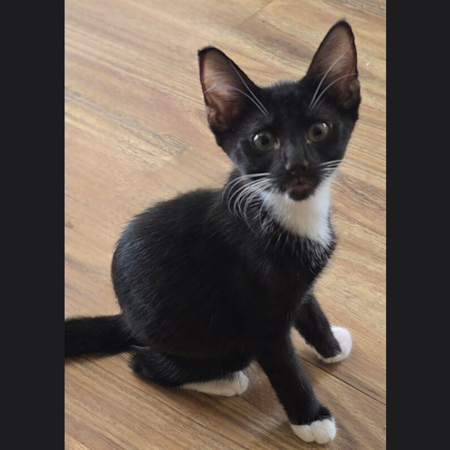 Photo of Wally