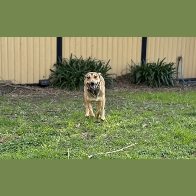 Photo of Roo