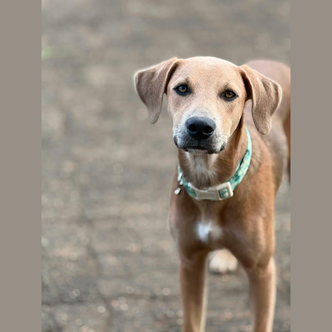 Photo of Archer