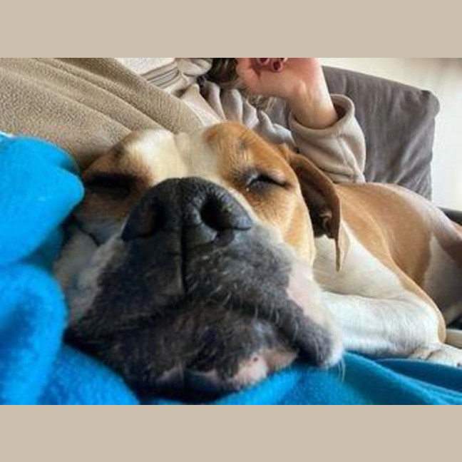 Photo of Yoko Newhaven