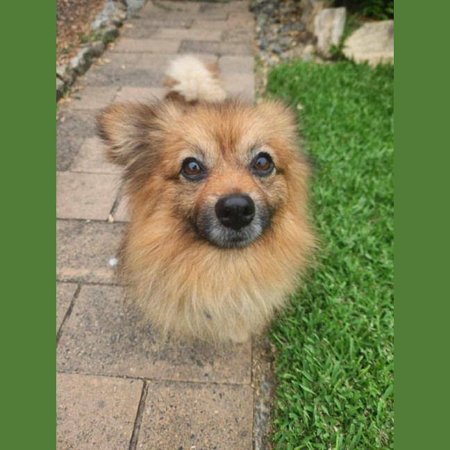 Photo of Freddy