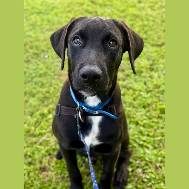 Photo of Charlie