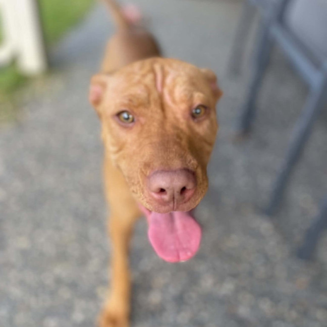 Photo of Lola