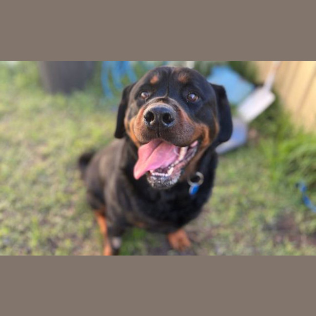Photo of Wobbly Walter