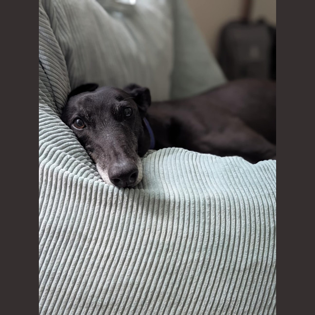 Photo of Mia