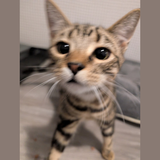 Photo of $180 Snuggles