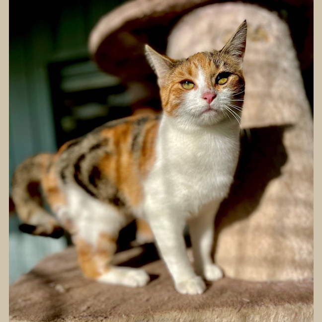 Photo of Hazel