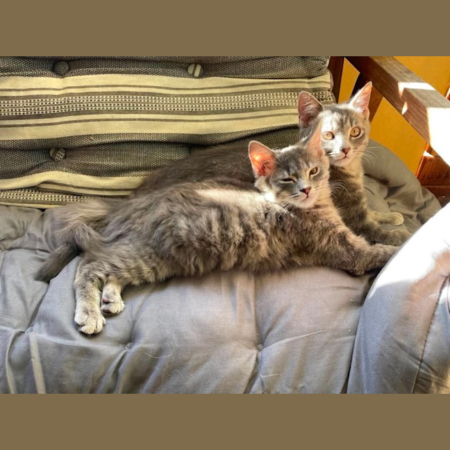 Photo of Mr Beans & Floofy