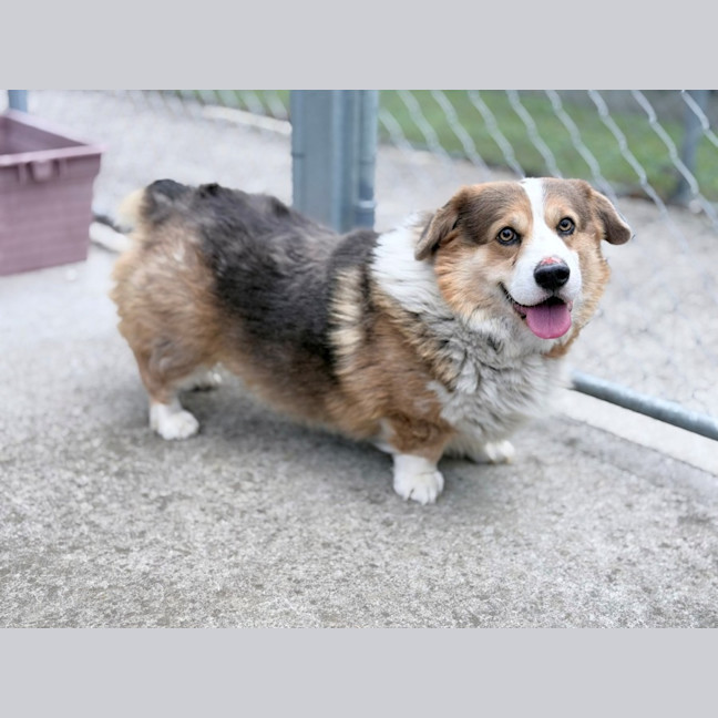 Photo of Duke