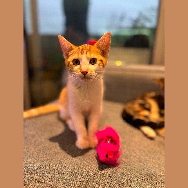 Photo of Bruce