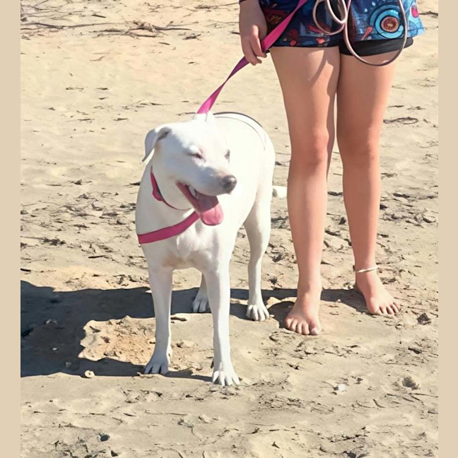 Photo of Jazz