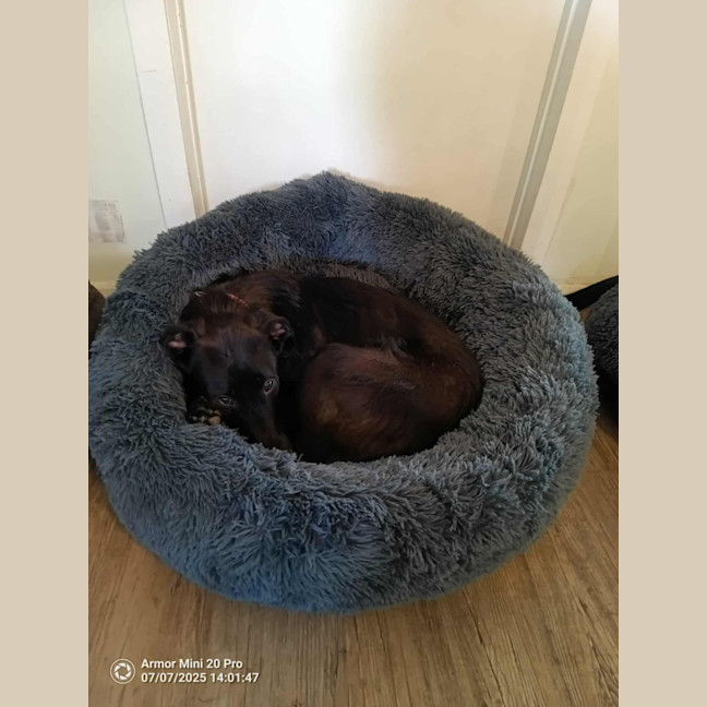 Photo of Mollie
