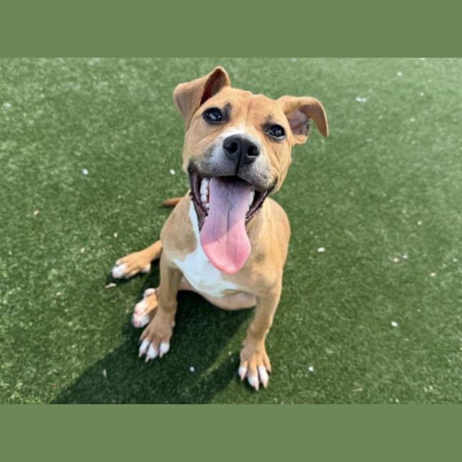 Photo of Angela Imp 2772