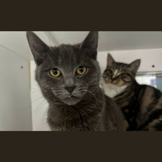 Photo of Storm