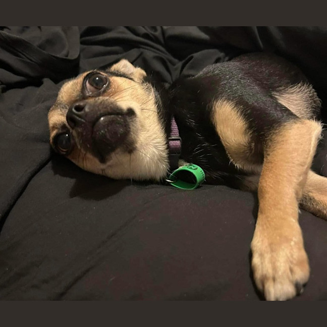 Photo of Beanz And Leo