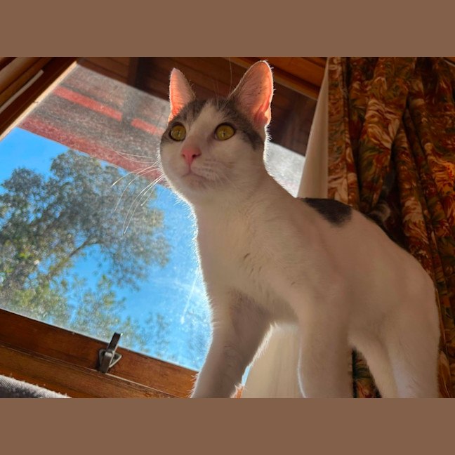 Photo of Billy
