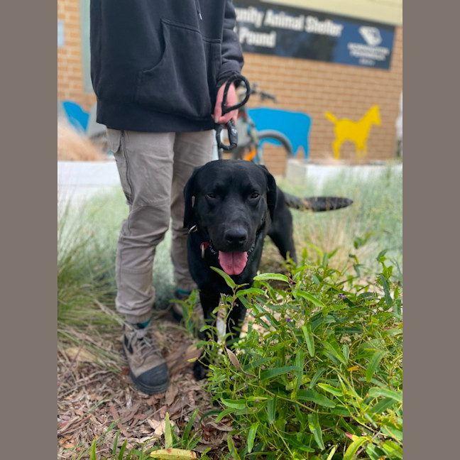 Photo of 🍕 Russell 5570🍕