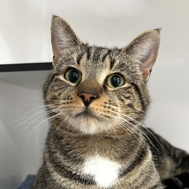 Photo of Mani Sua013109