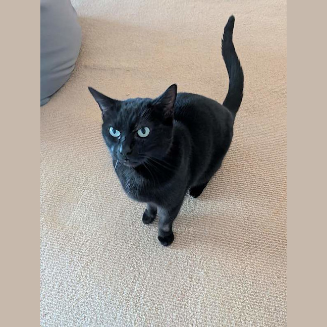 Photo of Lucy