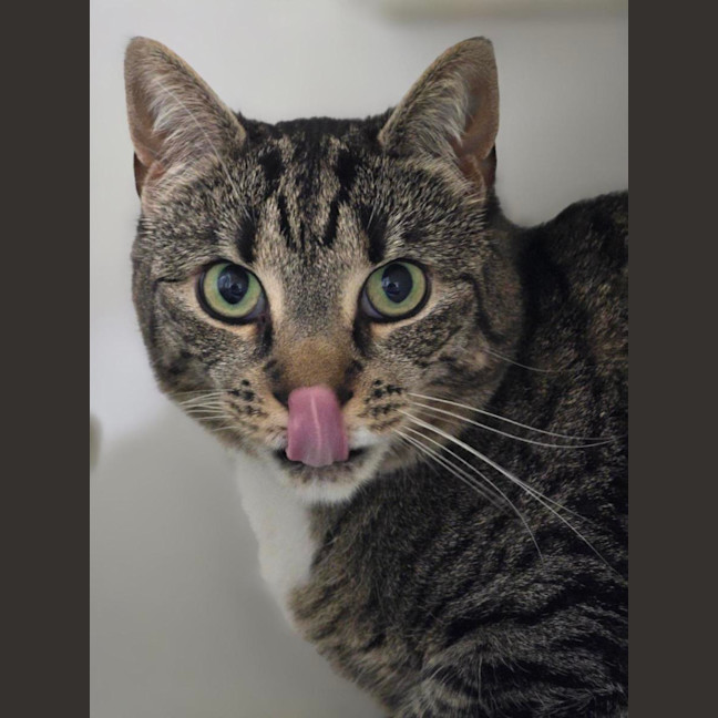 Photo of 🧂 Pepper 7558 🧂