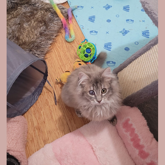 Photo of Rosie