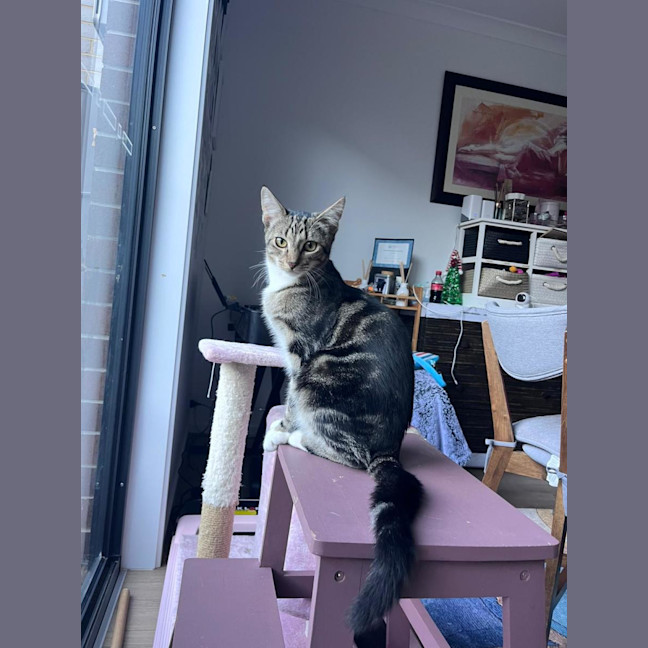 Photo of Hades