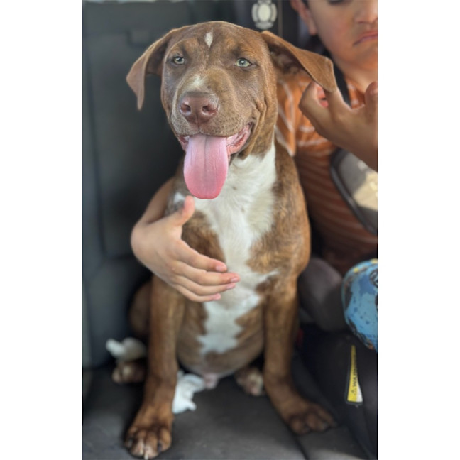 Photo of Bodhi