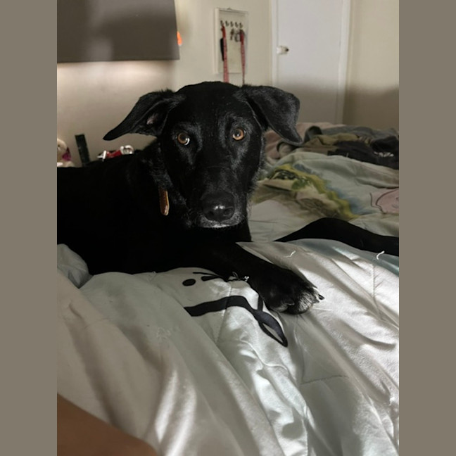 Photo of Luna Aka Lu Lu