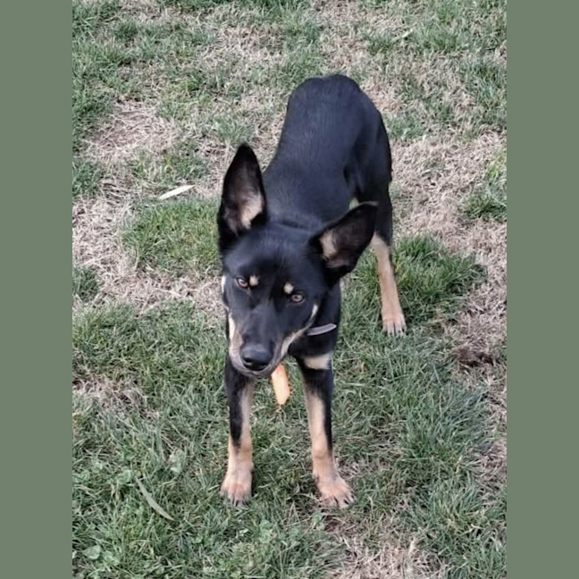 Photo of Susie