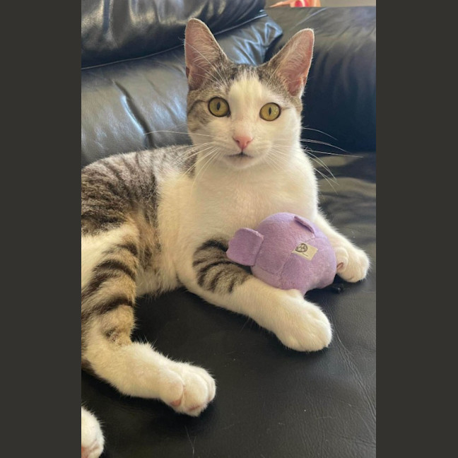 Photo of Keeva
