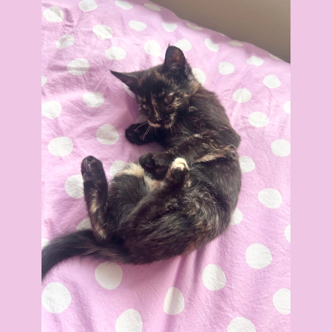 Photo of Ramona