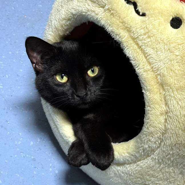 Photo of Mariana Sta013562