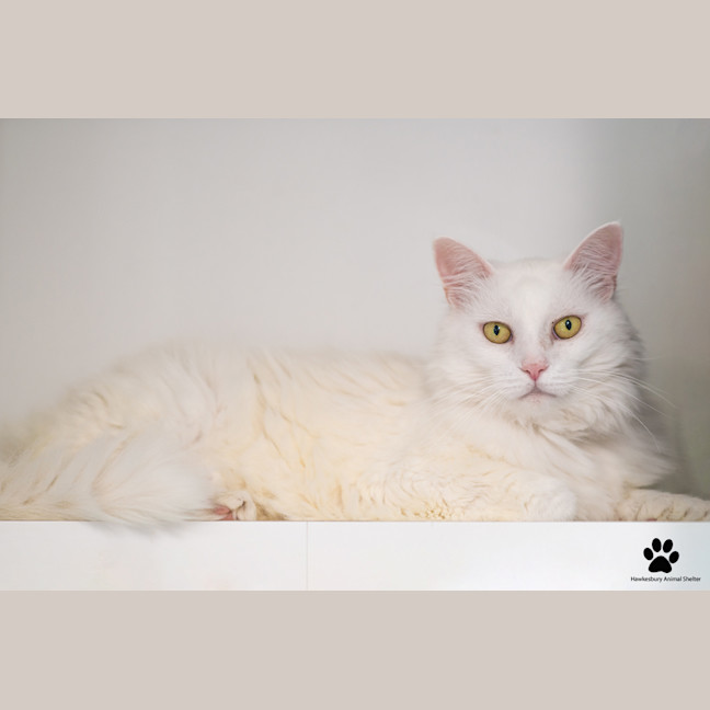 Photo of Maggie