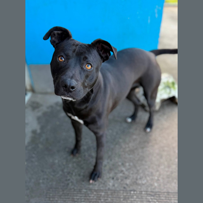 Photo of Storm