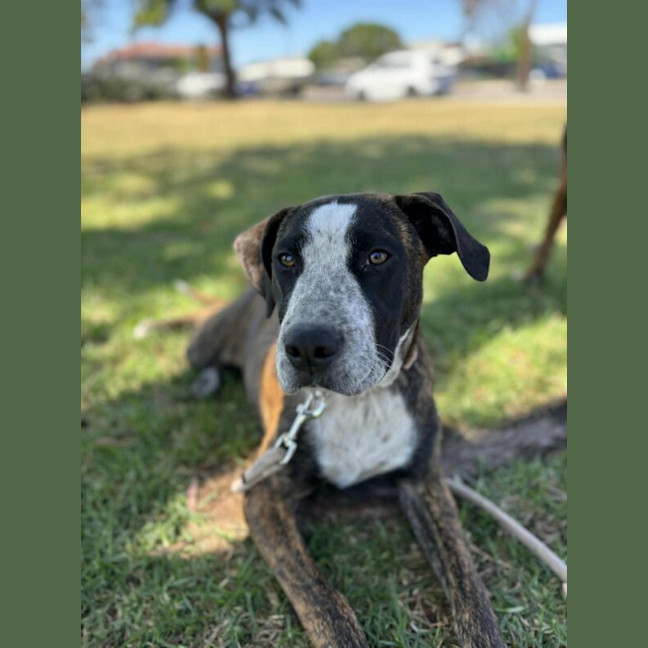 Photo of Rayne